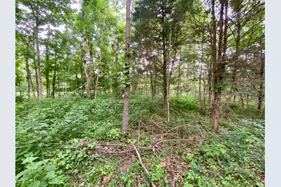 85 Pfeifer Road, Manchester, OH 45144 - Photo 5