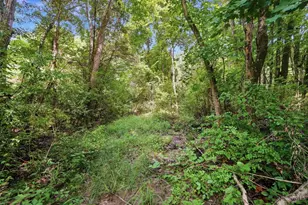 6654 Osceola Rd, Harlan Township, OH 45152 - Photo 55