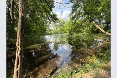 2133 Davis Road, Bainbridge, OH 45612 - Photo 19
