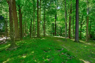 6427 Visitation Dr, Green Township, OH 45248 - Photo 29