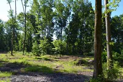 11 Case Road, Tate Township, OH 45157 - Photo 15