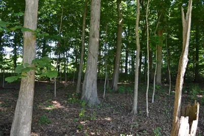 11 Case Road, Tate Township, OH 45157 - Photo 13