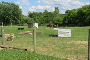 8024 Hightop Rd, Penn Township, OH 45133 - Photo 77