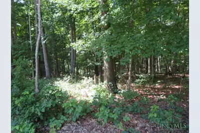 459 Greenbrier Road, Seaman, OH 45679 - Photo 55