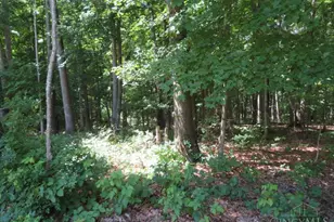 459 Greenbrier Rd, Seaman, OH 45679 - Photo 55
