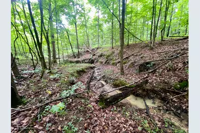 400 Lynn Morgan Road, Seaman, OH 45679 - Photo 15