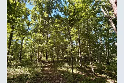 4051 St Rt 41, Manchester, OH 45144 - Photo 15