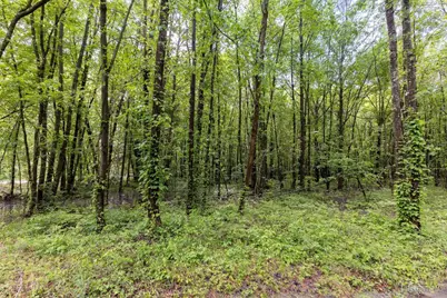 6149 Belfast Road, Stonelick Township, OH 45122 - Photo 3