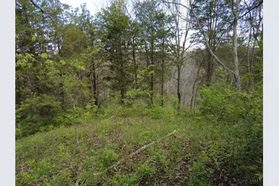 9951 Fishing Gut Road, Huntington Township, OH 45144 - Photo 23
