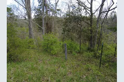 9951 Fishing Gut Road, Huntington Township, OH 45144 - Photo 21