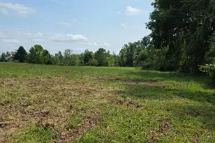 0 Fagins Run Rd, Pierce Township, OH 45157 - Photo 9