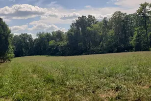 0 Fagins Run Rd, Pierce Township, OH 45157 - Photo 5