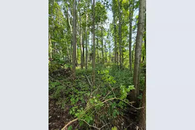 0 Fagins Run Road, Pierce Township, OH 45157 - Photo 7