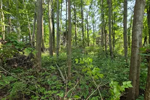 0 Fagins Run Rd, Pierce Township, OH 45157 - Photo 7