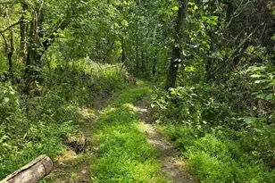 0 Fagins Run Rd, Pierce Township, OH 45157 - Photo 9