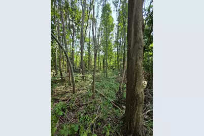 0 Fagins Run Road, Pierce Township, OH 45157 - Photo 5