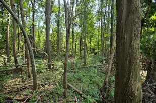 0 Fagins Run Rd, Pierce Township, OH 45157 - Photo 5