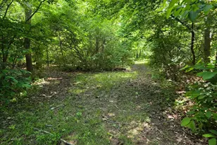 0 Fagins Run Rd, Pierce Township, OH 45157 - Photo 7