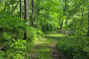0 Fagins Run Rd, Pierce Township, OH 45157 - Photo 9