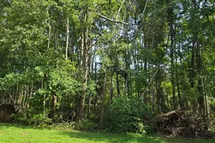 0 Fagins Run Rd, Pierce Township, OH 45157 - Photo 5