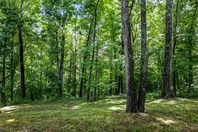 25089 Chapel Ridge Road, South Bloomingville, OH 43152 - Photo 53
