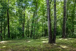 25089 Chapel Ridge Rd, South Bloomingville, OH 43152 - Photo 53