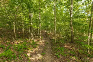 2180 Fairview Rd, Seaman, OH 45679 - Photo 33