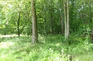 3477 Starling Rd, Tate Township, OH 45106 - Photo 25