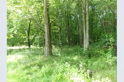 3477 Starling Road, Tate Township, OH 45106 - Photo 29