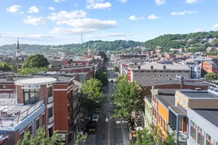 11 Mercer St, Cincinnati, OH 45202 - Photo 51