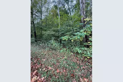 0 Churn Creek Road, Blue Creek, OH 45616 - Photo 5