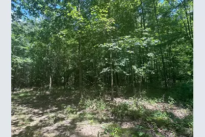 5812 Belfast Owensville Road, Stonelick Township, OH 45103 - Photo 27