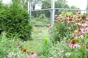 33 Clinton Springs Ave, Cincinnati, OH 45217 - Photo 5