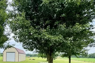 10794 Collins-Riley Rd, Harlan Township, OH 45107 - Photo 31