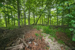 8712 Woolstone Ct, Hamilton Township, OH 45039 - Photo 63