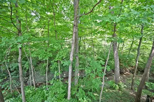 4249 Hidden Creek Ct, Union Township, OH 45103 - Photo 53