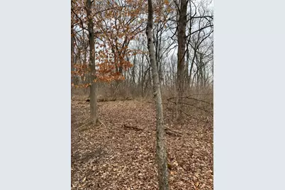 6049 Big Run Road, Pleasant Township, OH 45121 - Photo 51