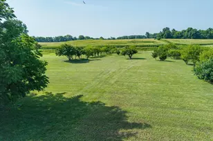 1788 Hidy Road N, Jefferson Twp, OH 43128 - Photo 63