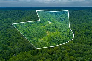 6560 Mt Unger Rd, Otway, OH 45657 - Photo 3