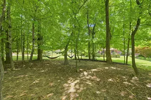 6226 Swanbrook Ln, Delhi Township, OH 45233 - Photo 59