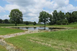12891 St Rt 136, West Union, OH 45693 - Photo 55
