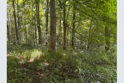 359 Green Ridge Road, Mifflin Twp, OH 45660 - Photo 23