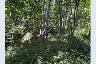 359 Green Ridge Road, Mifflin Twp, OH 45660 - Photo 27