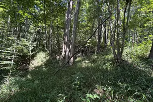 359 Green Ridge Rd, Mifflin Twp, OH 45660 - Photo 27
