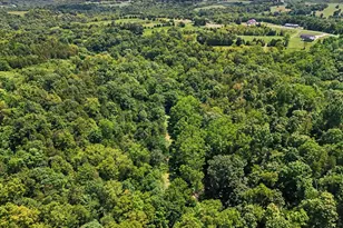 0 Bascom Corner Rd, Rising Sun, IN 47040 - Photo 31