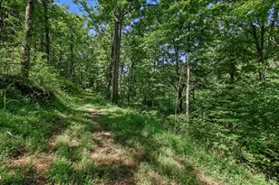 0 Bascom Corner Rd, Rising Sun, IN 47040 - Photo 21