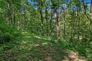 0 Bascom Corner Rd, Rising Sun, IN 47040 - Photo 19