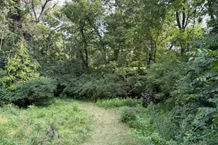 1428 Wolfangel Rd, Anderson Township, OH 45255 - Photo 79