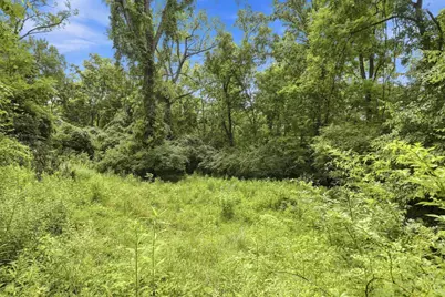 1428 Wolfangel Road, Anderson Township, OH 45255 - Photo 77