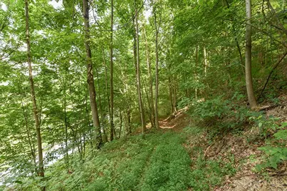 182 Sunfish Creek Road #1, Piketon, OH 45661 - Photo 29